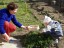 2002.04.01.
						Húsvét - Mama segít keresni a tojásokat